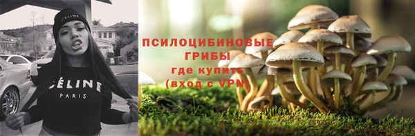 ешки Сафоново