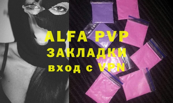 спиды Бородино