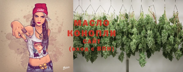 спиды Бородино
