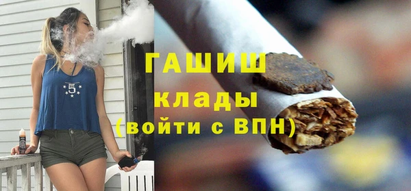 спиды Бородино
