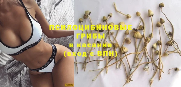 прущие крисы Богородицк