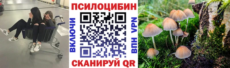 МЕГА как зайти  Звенигово  shop наркотические препараты  Псилоцибиновые грибы Magic Shrooms 
